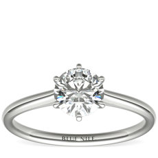 Petite Nouveau Six Claw Solitaire Engagement Ring in 14k White Gold 